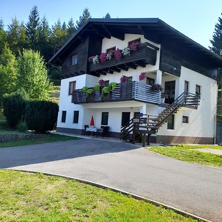 Gogo Apartman Delnice Kültér fotó