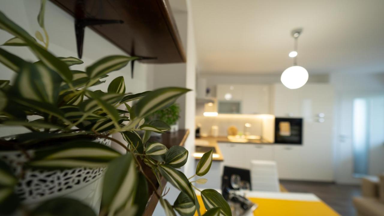 Gogo Apartman Delnice Kültér fotó