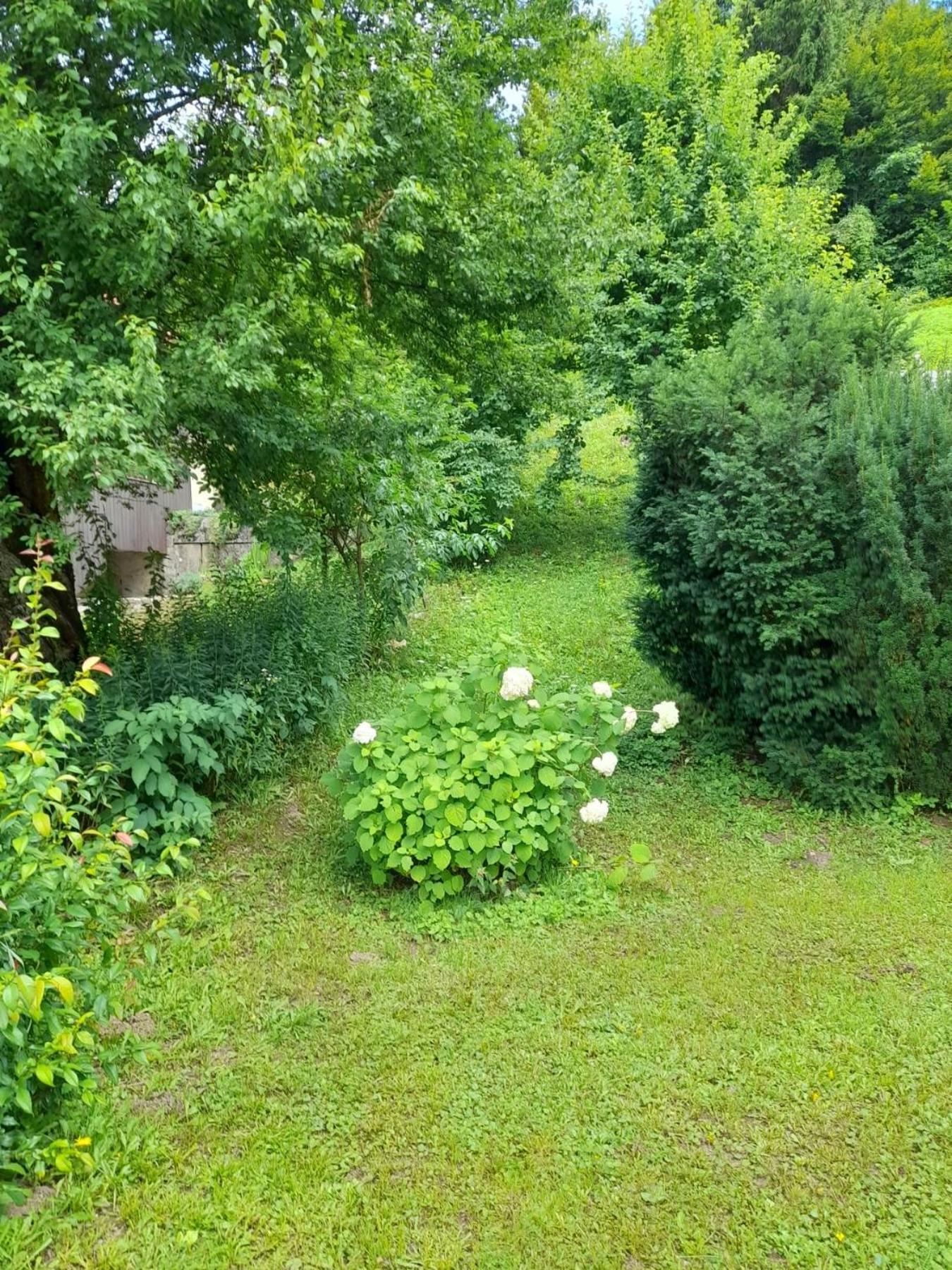 Gogo Apartman Delnice Kültér fotó