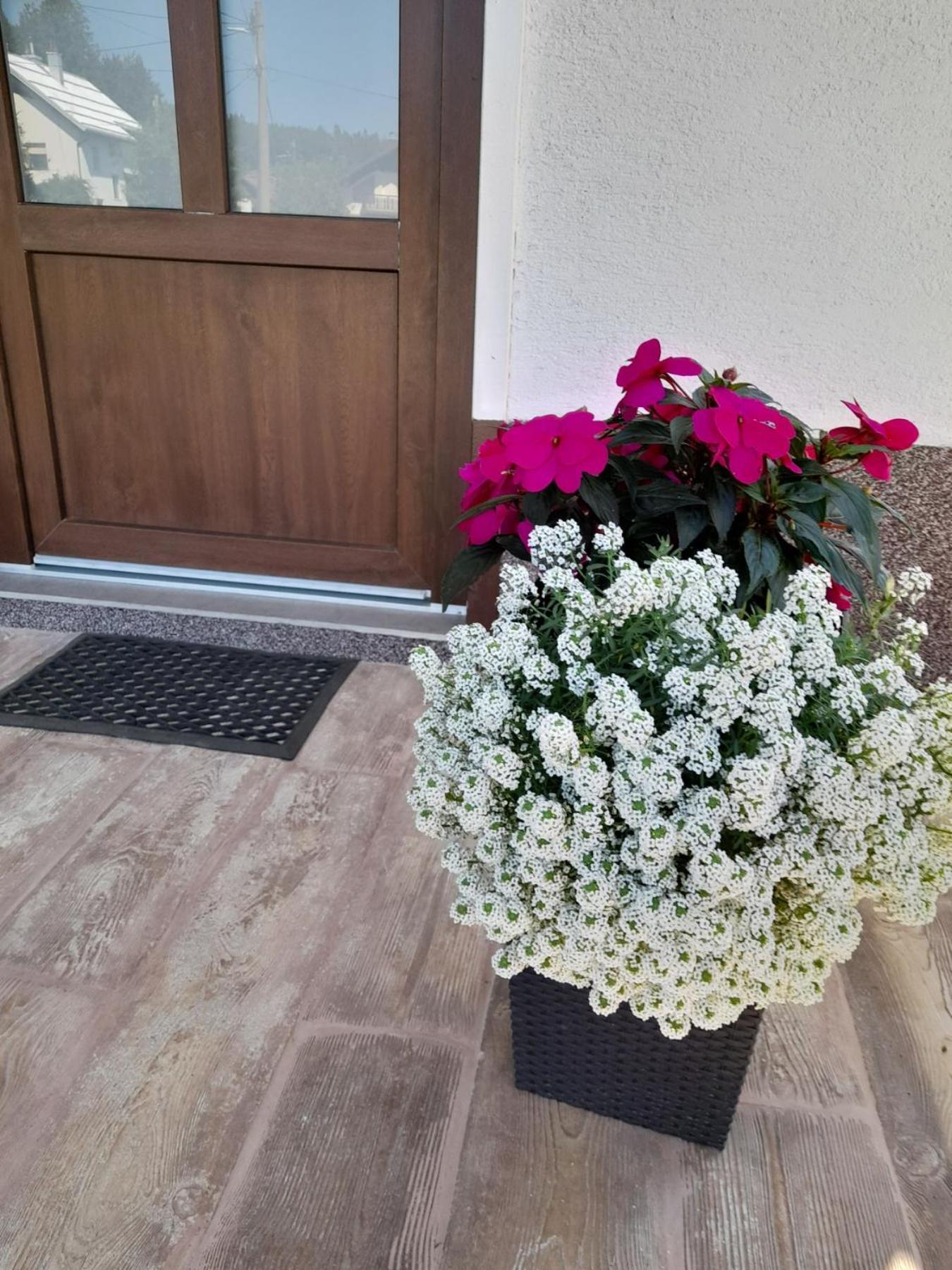Gogo Apartman Delnice Kültér fotó