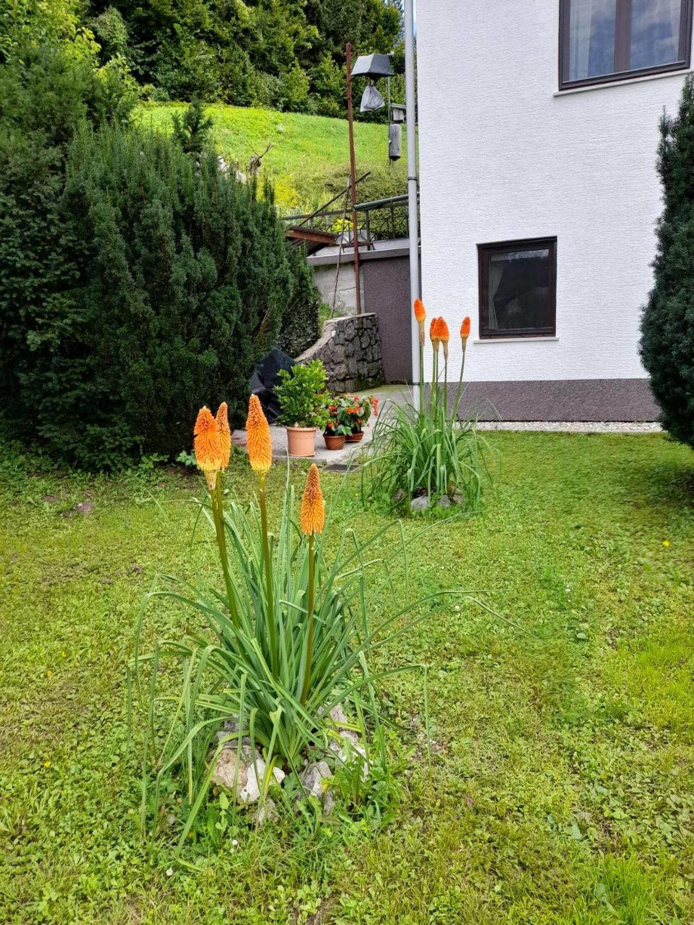 Gogo Apartman Delnice Kültér fotó